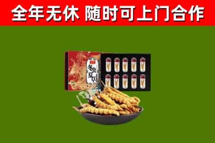 崇阳县烟酒回收冬虫夏草礼盒.jpg